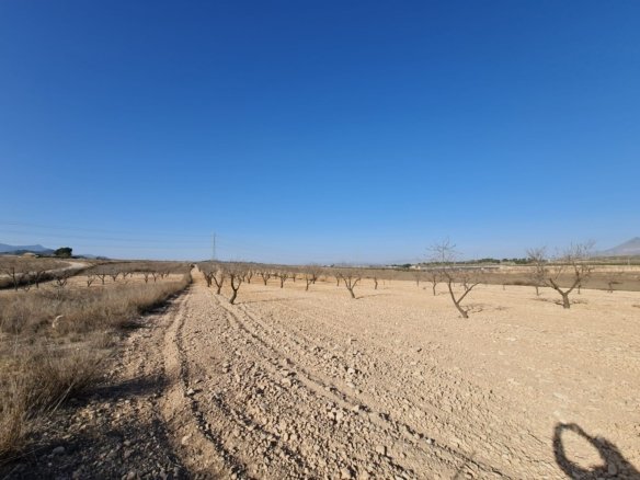 Land in Jumilla - Caza De Casa