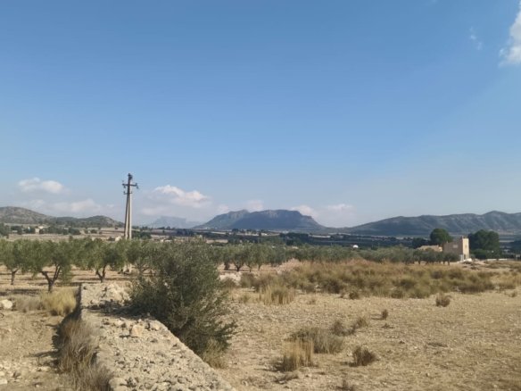24,596 m² Land in Salinas - Caza De Casa