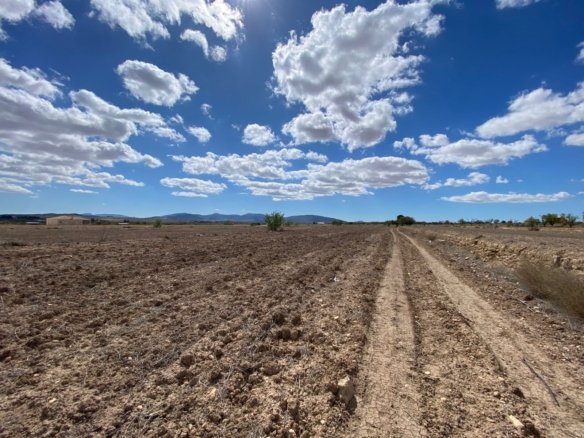 12,797 m² Land in Pinoso - Caza De Casa