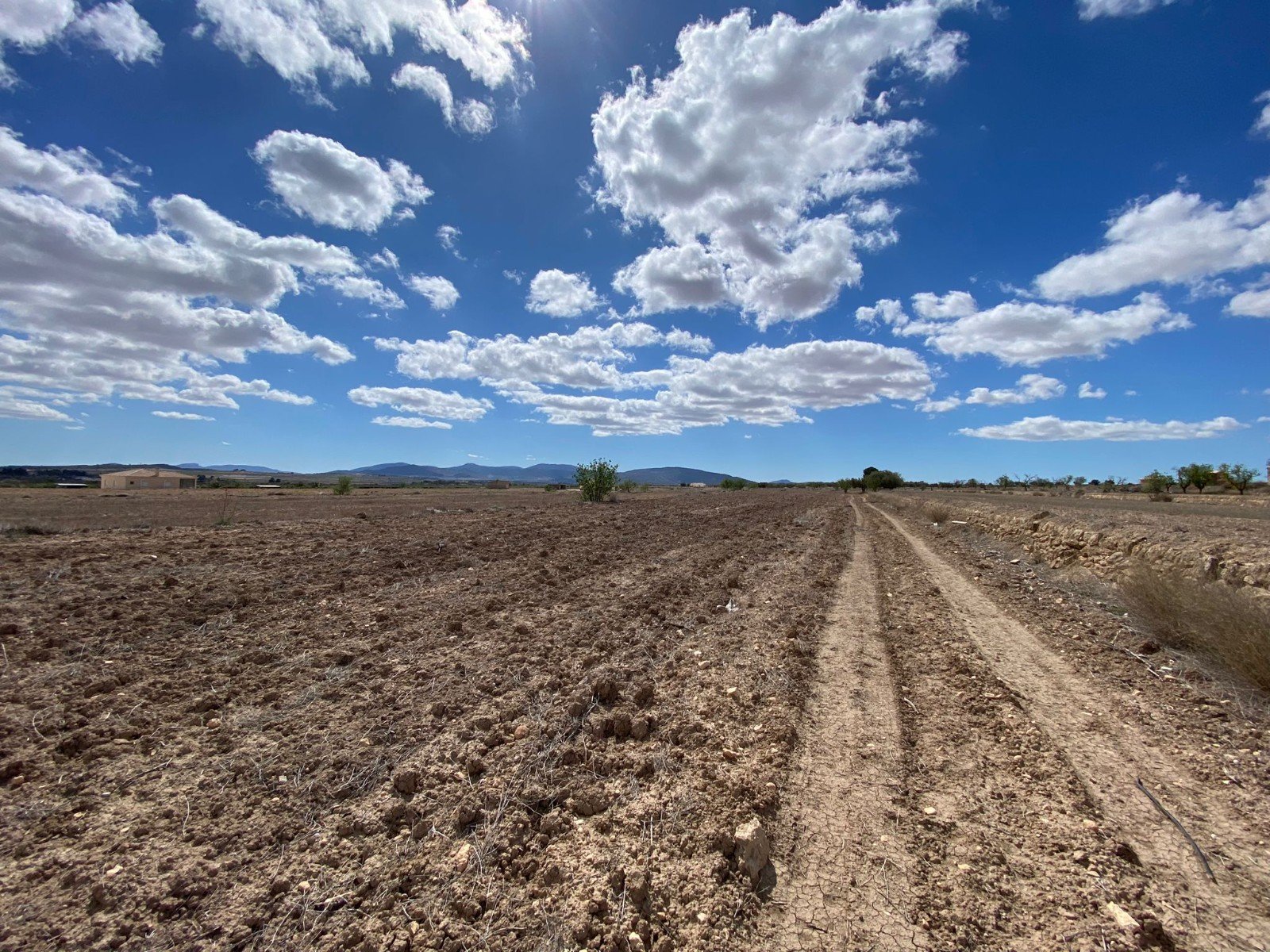 12,797 m² Land in Pinoso - Caza De Casa