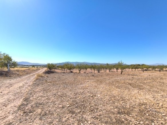 28,965 m² Land in Monóvar/Monóver - Caza De Casa