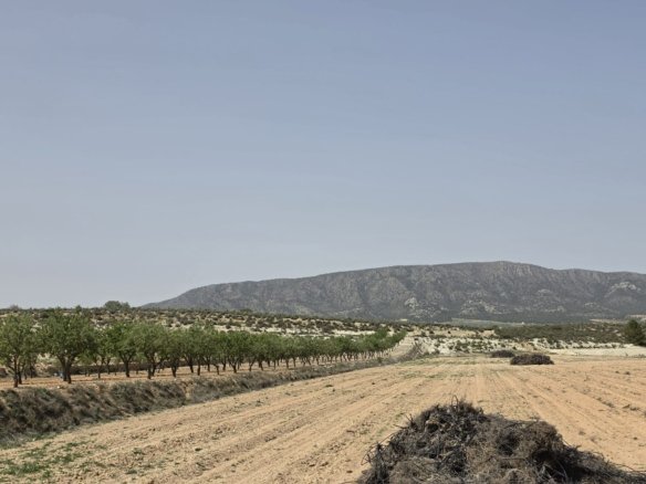 Land in Pinoso - Caza De Casa