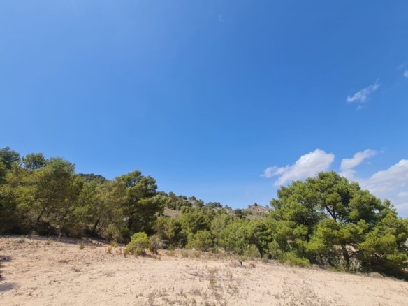 31,486 m² Land in Yecla - Caza De Casa