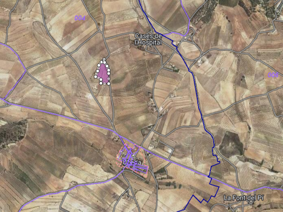17,029 m² Land in Pinoso - Caza De Casa