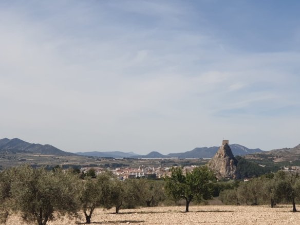 22,499 m² Land in Sax - Caza De Casa