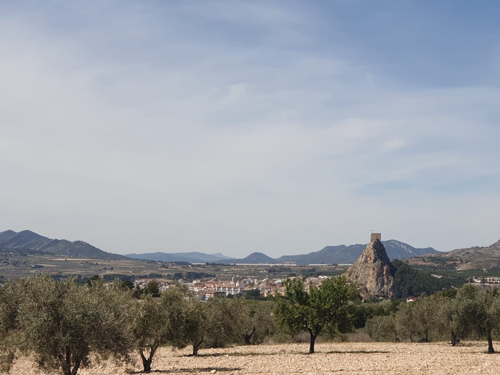 22,499 m² Land in Sax - Caza De Casa