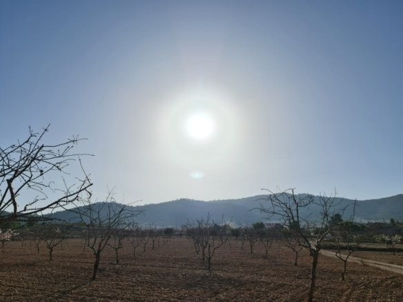 19,338 m² Land in Jumilla - Caza De Casa