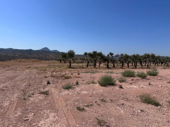 48,977 m² Land in Macisvenda - Caza De Casa