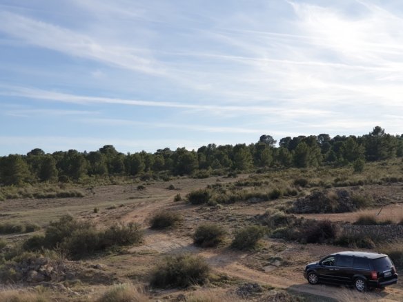 12,116 m² Land in Pinoso - Caza De Casa