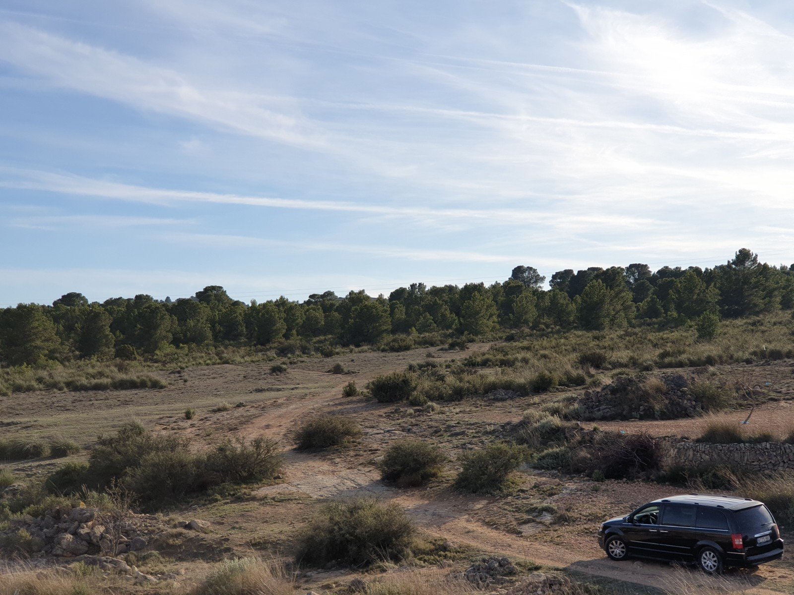 12,116 m² Land in Pinoso - Caza De Casa