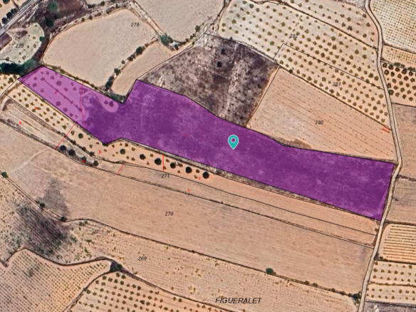 Land in Monóvar/Monóver - Caza De Casa