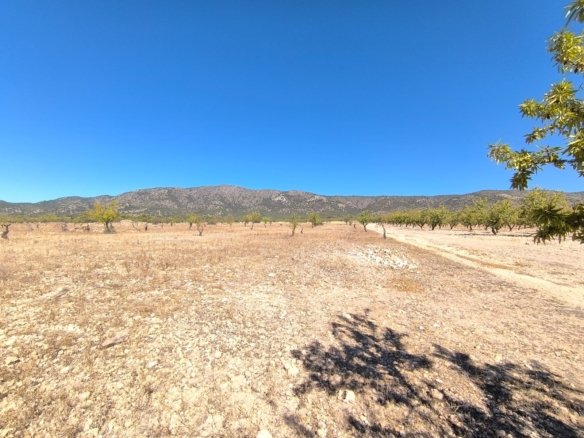 28,965 m² Land in Monóvar/Monóver - Caza De Casa