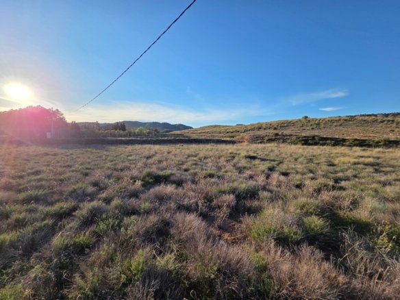 40,000 m² Land in Yecla - Caza De Casa
