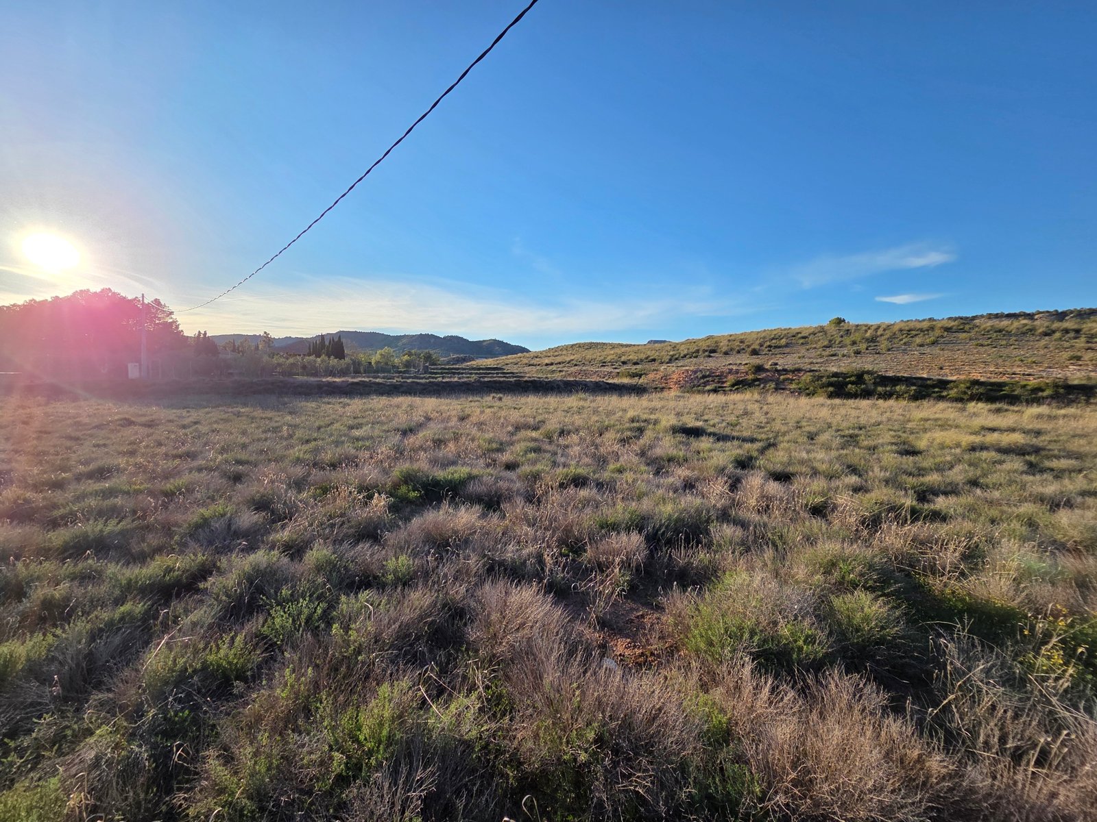 40,000 m² Land in Yecla - Caza De Casa