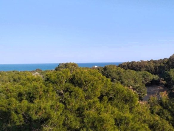 120 m² Land in Guardamar del Segura - Caza De Casa