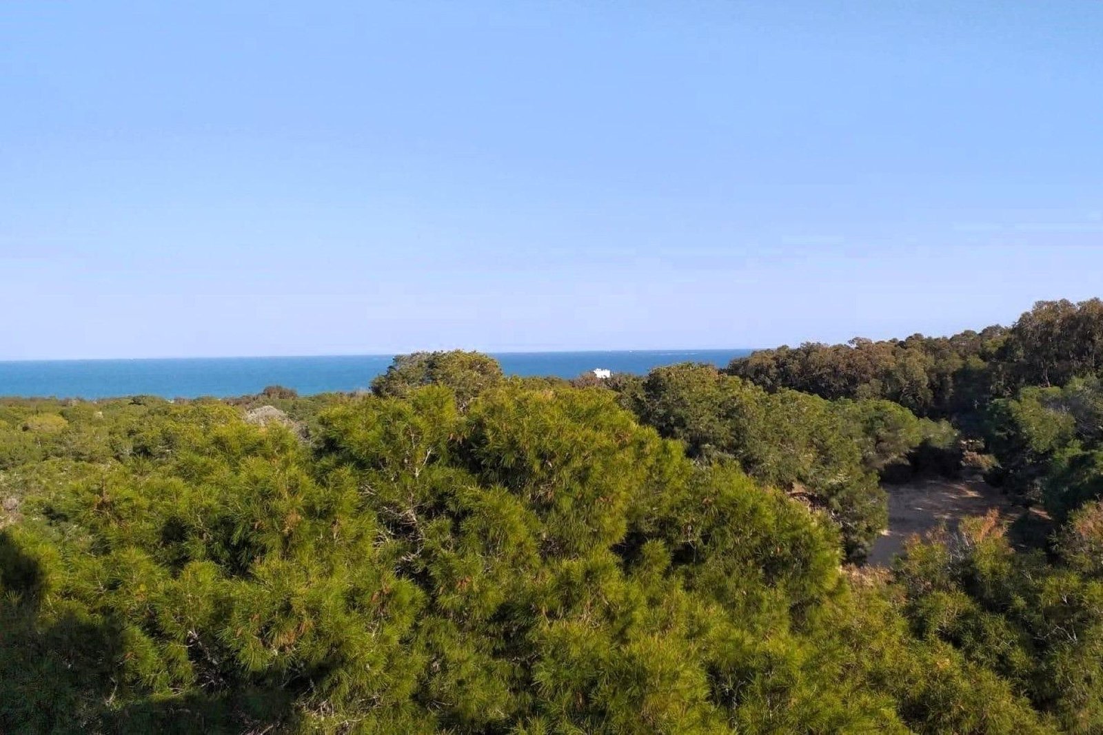 120 m² Land in Guardamar del Segura - Caza De Casa