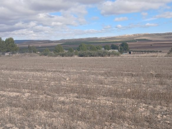 110,000 m² Land in Yecla - Caza De Casa
