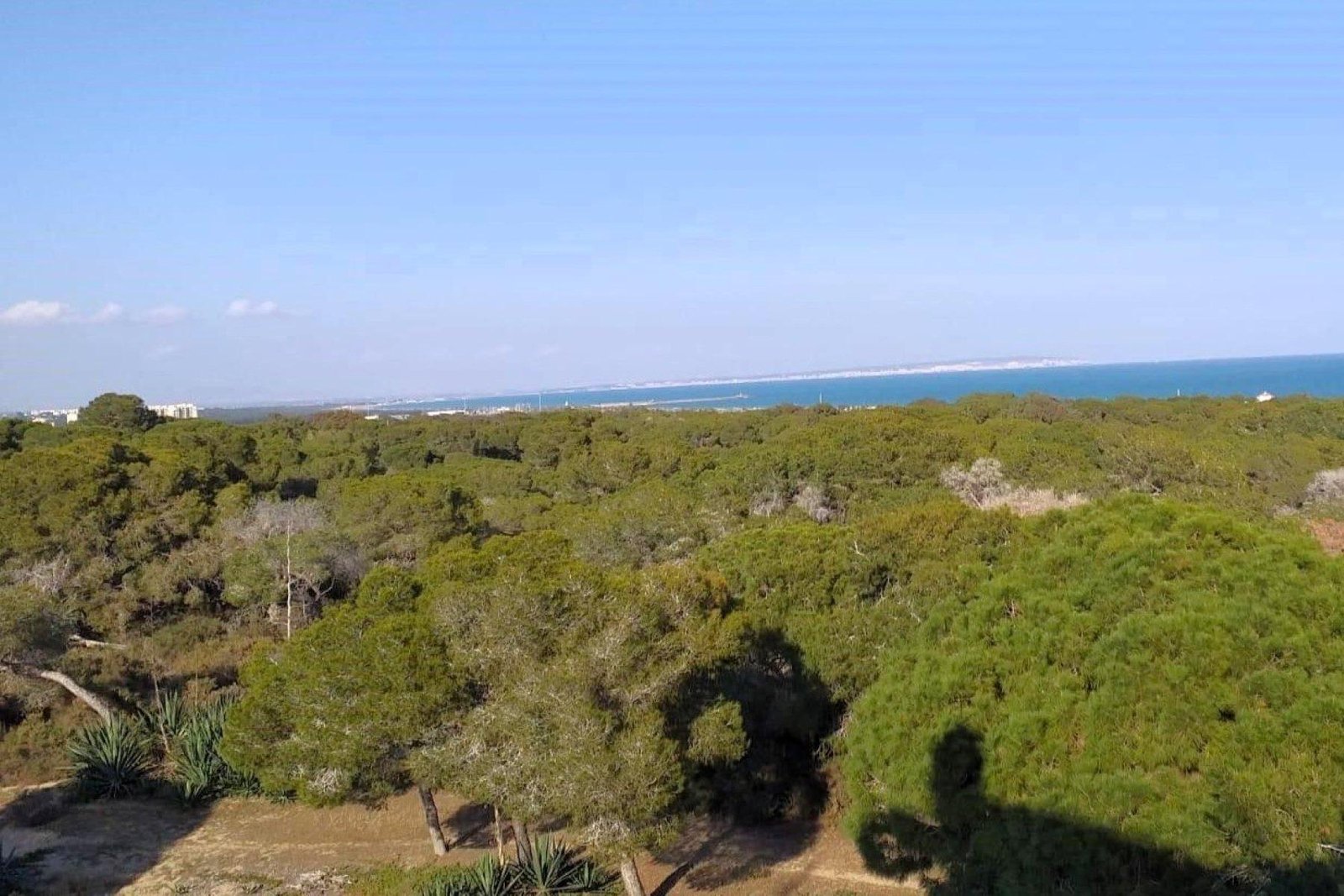 120 m² Land in Guardamar del Segura - Caza De Casa