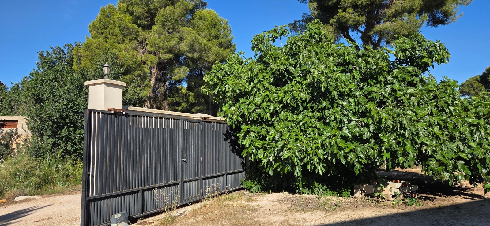 1 Bathroom Country House in Yecla - Caza De Casa