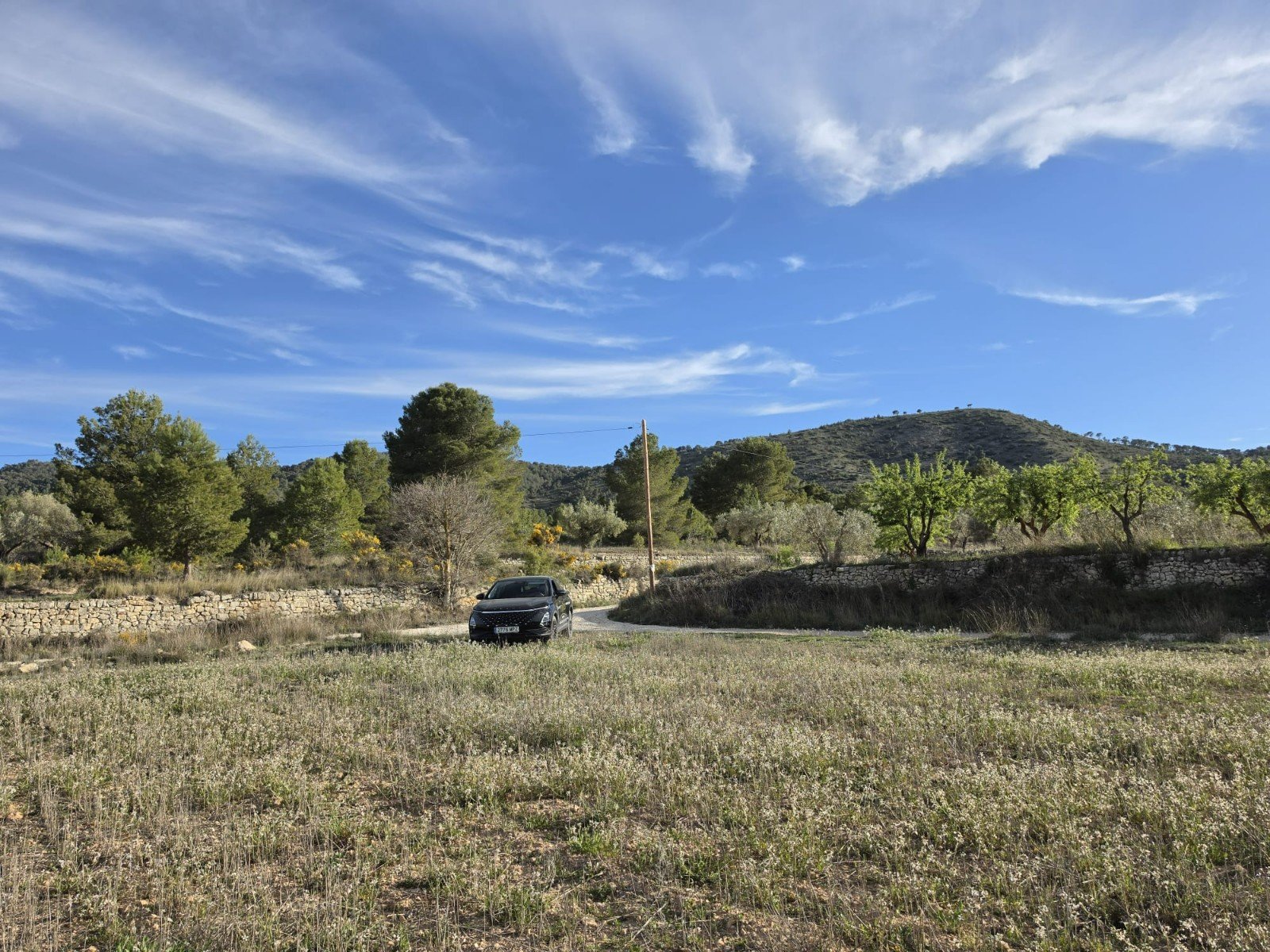 8,802 m² Land in Monóvar/Monóver - Caza De Casa