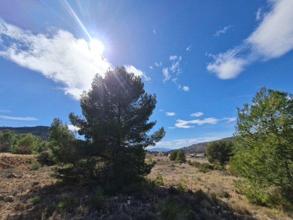Land in Pinoso - Caza De Casa