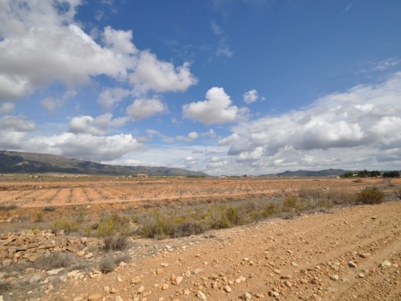 Land in Pinoso - Caza De Casa