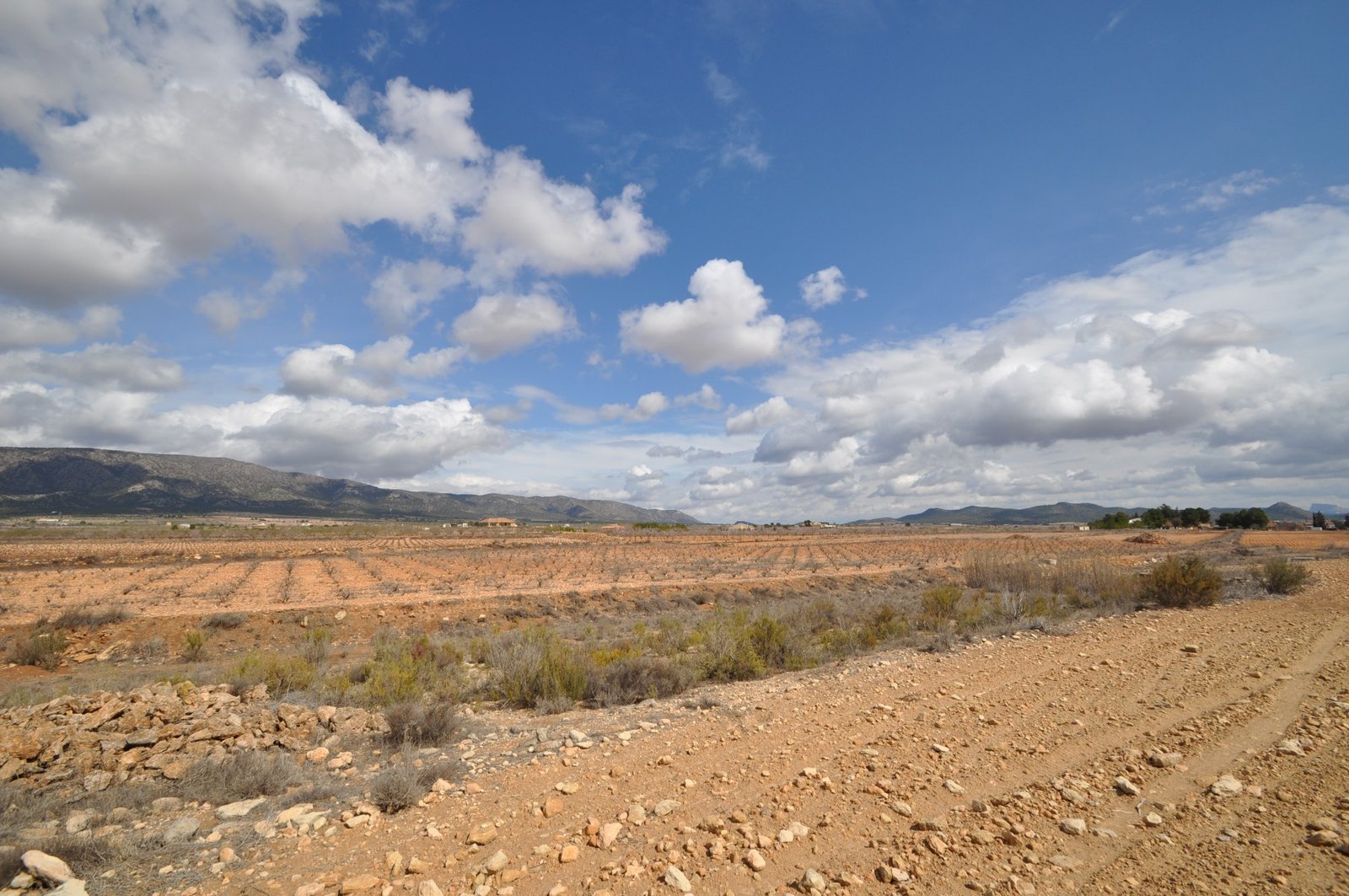 6097e35460957339 Land in Pinoso - Caza De Casa