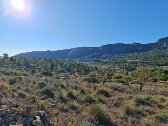 Land in La Romana - Caza De Casa