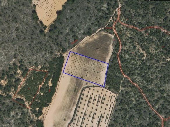 8,266 m² Land in Yecla - Caza De Casa
