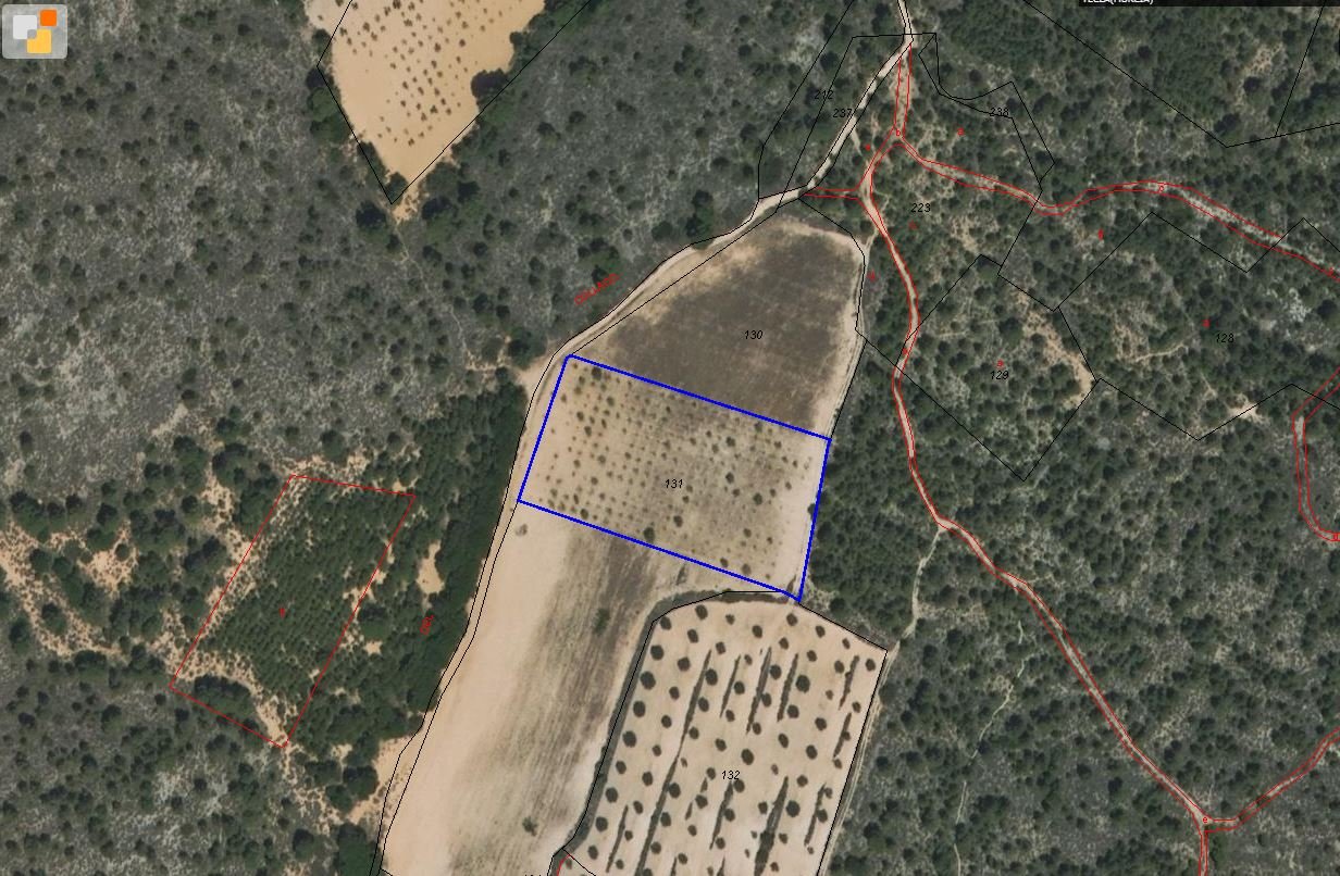 8,266 m² Land in Yecla - Caza De Casa