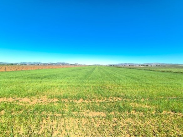 Land in Yecla - Caza De Casa