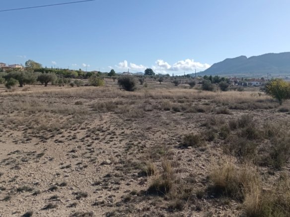 16,000 m² Land in Salinas - Caza De Casa