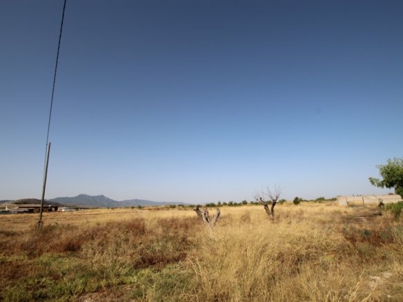 6 Bedroom 2 Bathroom Country House in Torre Del Rico - Caza De Casa