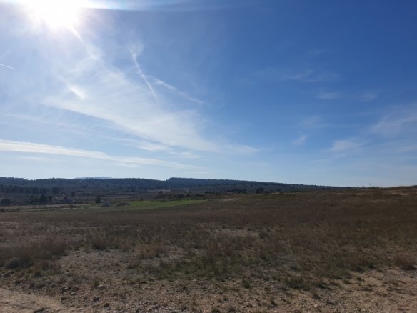 11,244 m² Land in Pinoso - Caza De Casa