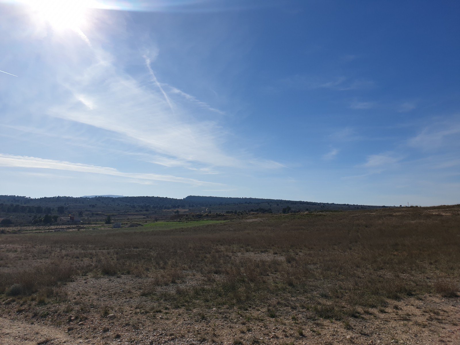 11,244 m² Land in Pinoso - Caza De Casa