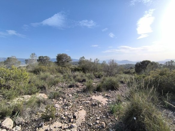 Land in Yecla - Caza De Casa