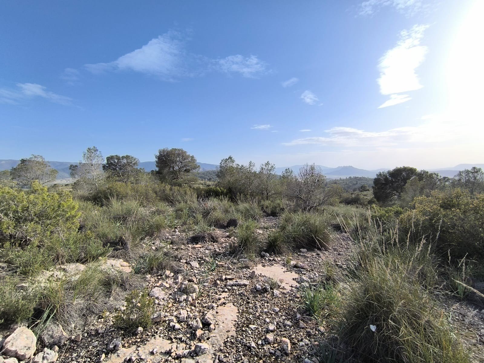 Land in Yecla - Caza De Casa