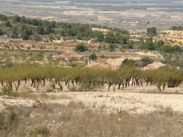 Land in Abanilla - Caza De Casa