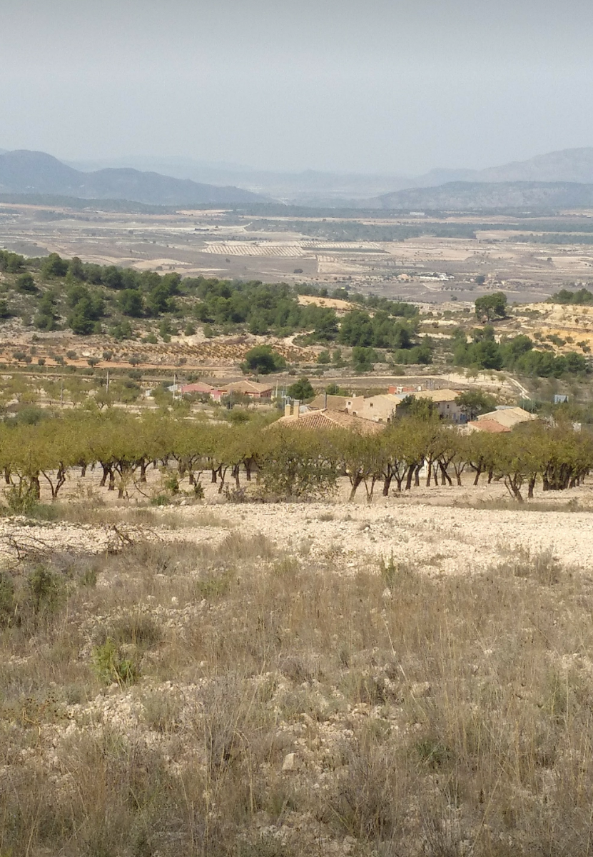 6381bd985f1114d0 Land in Abanilla - Caza De Casa