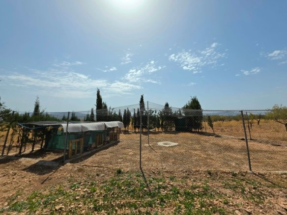 3 Bedroom 1 Bathroom Country House in Jumilla - Caza De Casa