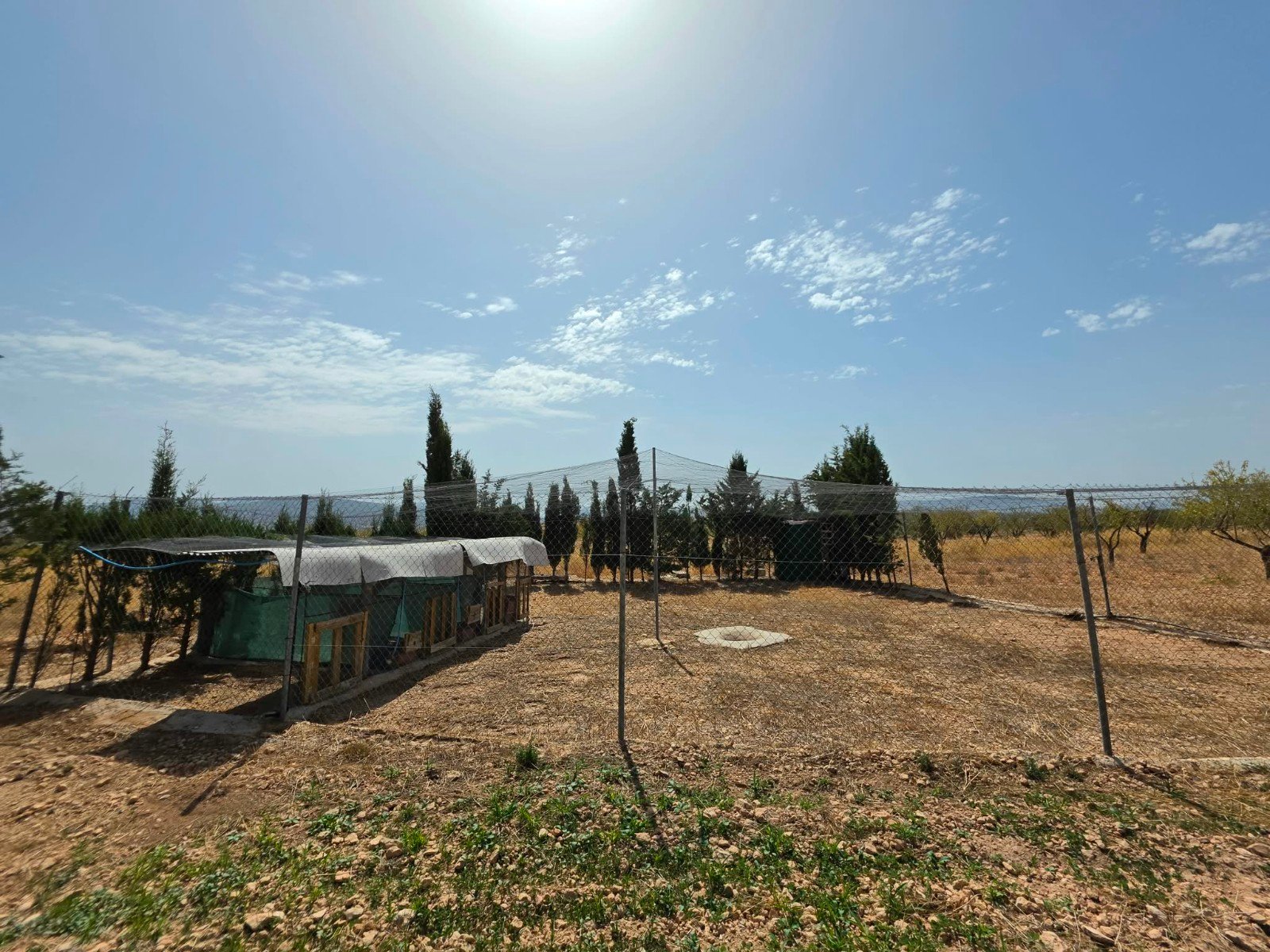 3 Bedroom 1 Bathroom Country House in Jumilla - Caza De Casa