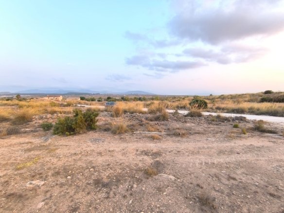 12,234 m² Land in Pinoso - Caza De Casa