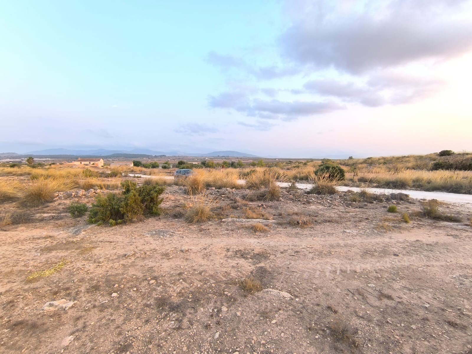 12,234 m² Land in Pinoso - Caza De Casa