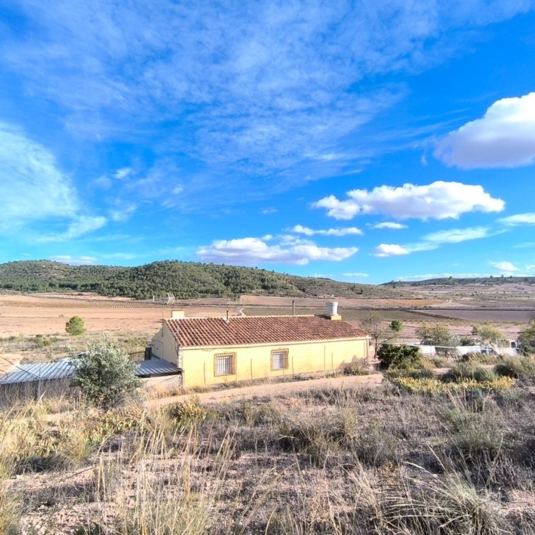 3 Bed 2 Bath Country House in Yecla - Caza De Casa
