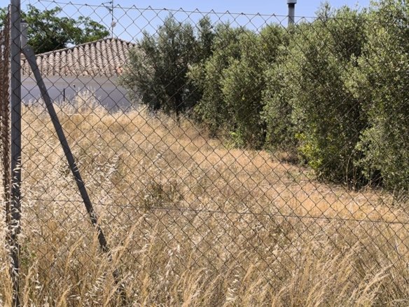 Land in Caudete - Caza De Casa