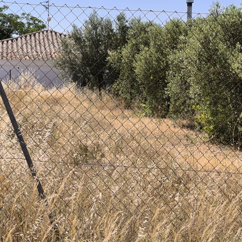 Land in Caudete - Caza De Casa