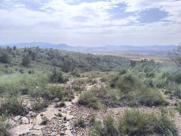 Land in Yecla - Caza De Casa
