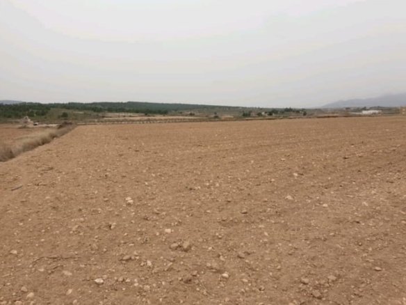 21,838 m² Land in Pinoso - Caza De Casa