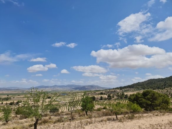 31,486 m² Land in Yecla - Caza De Casa