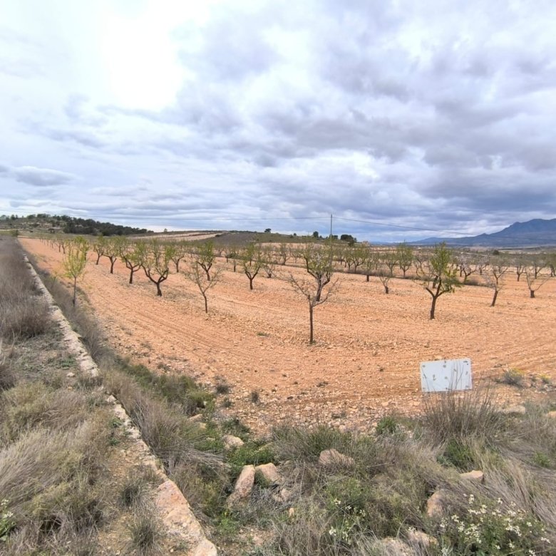 Land in Pinoso - Caza De Casa